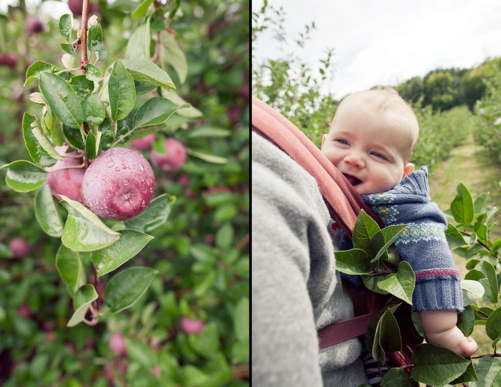 ApplePicking-57.jpg